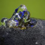 Zimmerbrunnen im Test