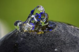 Zimmerbrunnen im Test