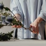 Die Gartenschere zeigen, wie Sie zum Beschneiden von Blumen verwendet wird