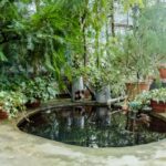 Idyllischer Gartenteich mit Teichfilteranlage