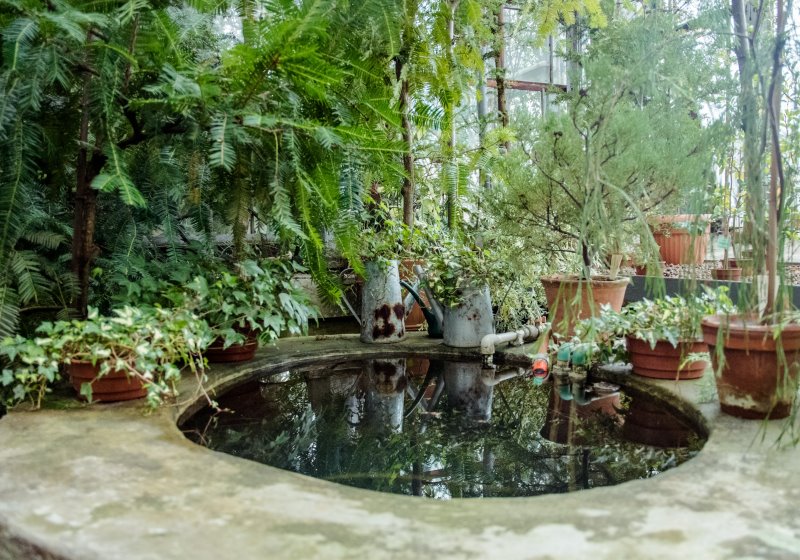 Idyllischer Gartenteich mit Teichfilteranlage