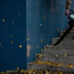 Laubsauger: Test, Vergleich und Kaufratgeber