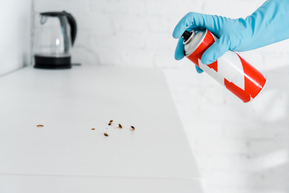 Insektenentferner Spray