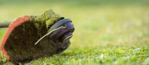 Rasentrimmer mit eingesetztem Trimmerfaden auf Grasfläche
