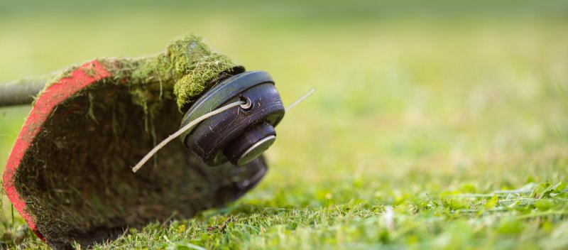 Rasentrimmer mit eingesetztem Trimmerfaden auf Grasfläche